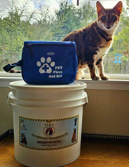 Cat Disaster Kit
