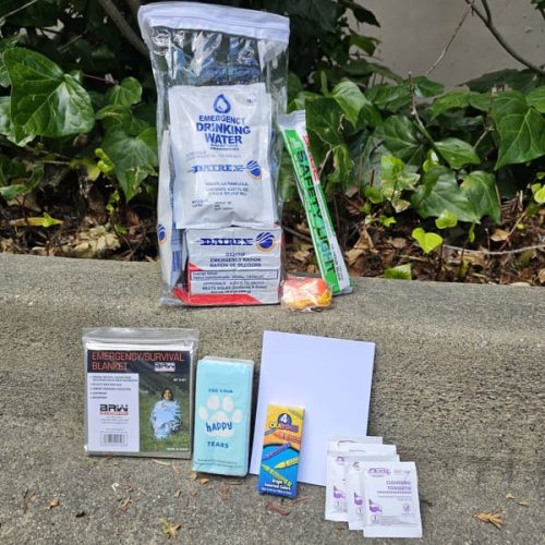 3-Day Child Economy Survival Kit II